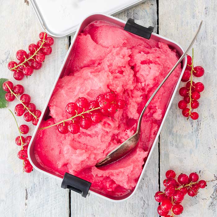Red currant sorbet